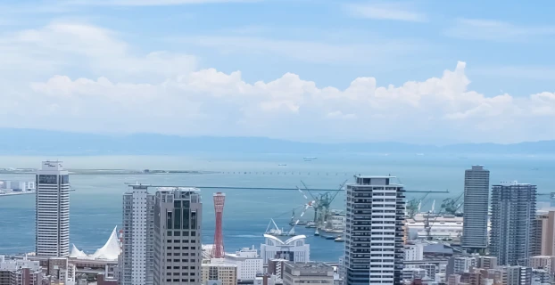 1日の仕事の流れ